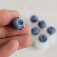 Молд силиконовый 3D Голубика 6 шт 